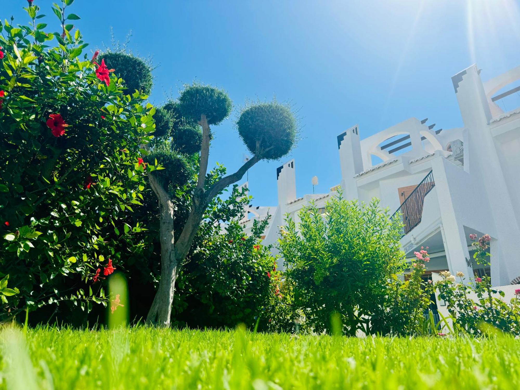 Вилла Contemporary House In Cabo Roig Ориуэла Экстерьер фото